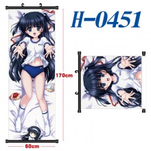 H-0451