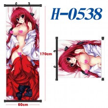 H-0538