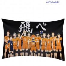 czt-Volleyball2