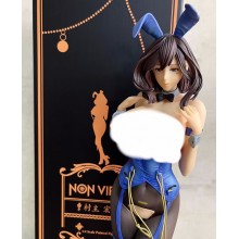 Hiromi Suguri NON VIRGIN Bunny Girl Cover Girl sexy figure