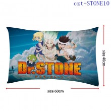 czt-STONE10