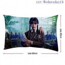 czt-Wednesday14