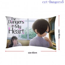 czt-Dangers5