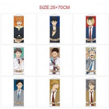 Haikyuu anime wall scroll wallscrolls 25*70CM