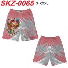 SKZ-0065