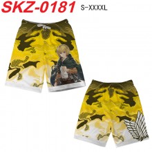 SKZ-0181