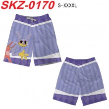 SKZ-0170