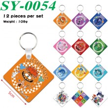 SY-0054