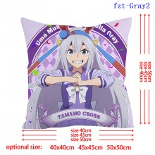 fzt-Gray2