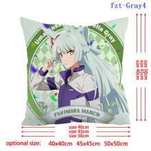 fzt-Gray4