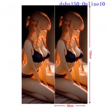 dsbz150-Online10