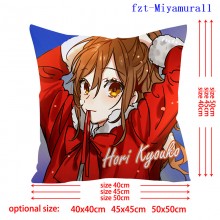 fzt-Miyamura11