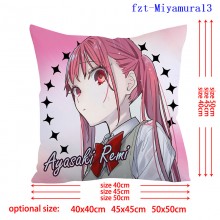 fzt-Miyamura13