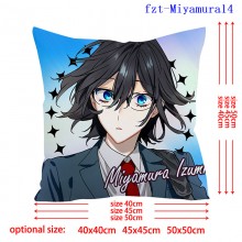 fzt-Miyamura14