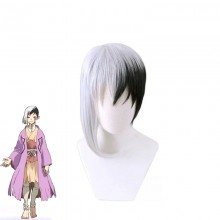 Dr.Stone Asagiri Gen anime cosplay wig