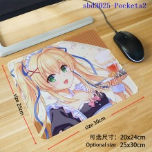 sbd3025-Pockets2
