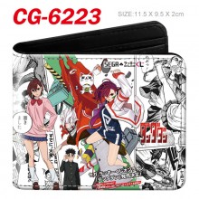 CG-6223