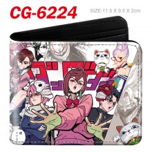 CG-6224