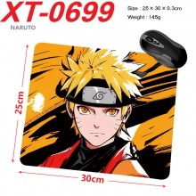 XT-0699