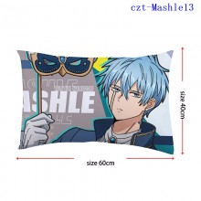 czt-Mashle13