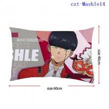 czt-Mashle14