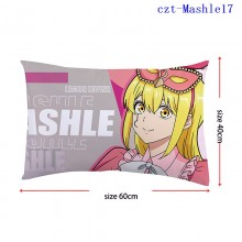 czt-Mashle17