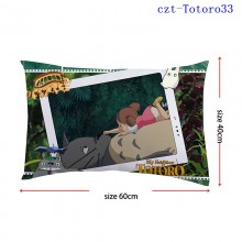 czt-Totoro33