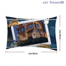 czt-Totoro30