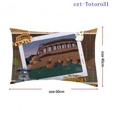 czt-Totoro31