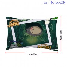 czt-Totoro29