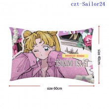 czt-Sailor24