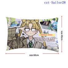 czt-Sailor28