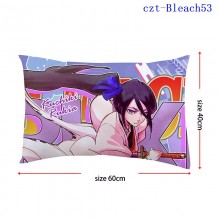 czt-Bleach53