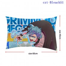 czt-Bleach51