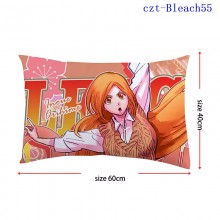 czt-Bleach55