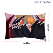 czt-Bleach52