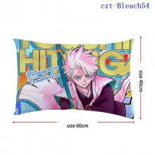 czt-Bleach54
