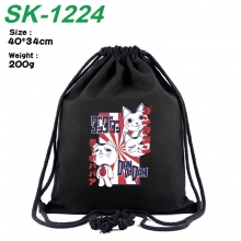 SK-1224