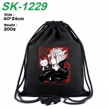 SK-1229