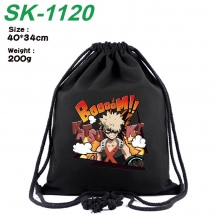 SK-1120