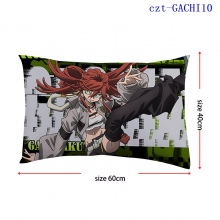 czt-GACHI10