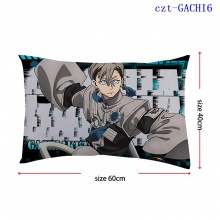 czt-GACHI6