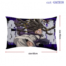 czt-GACHI8