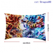 czt-Dragon80
