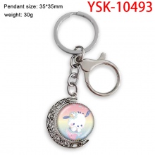 YSK-10493