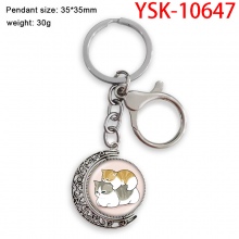 YSK-10647