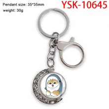 YSK-10645