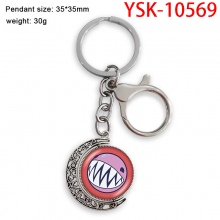 YSK-10569