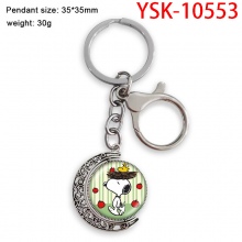 YSK-10553