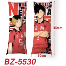 BZ-5530